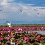 _MG_2237(1)